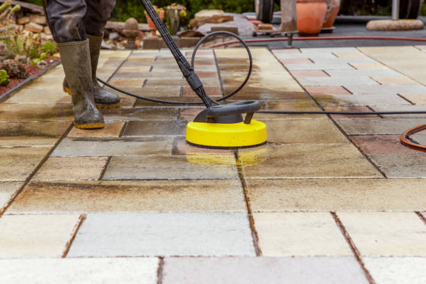 Best Fence Cleaning  in Windsor, CO