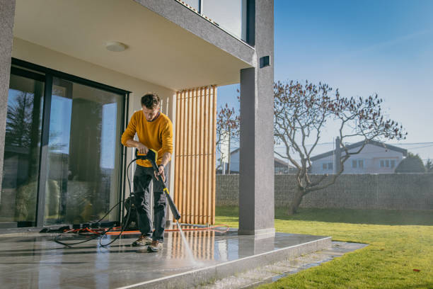 Best Graffiti Removal  in Windsor, CO