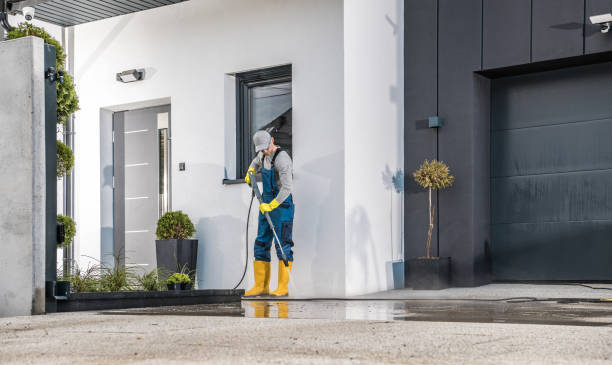 Best Gutter Cleaning  in Windsor, CO